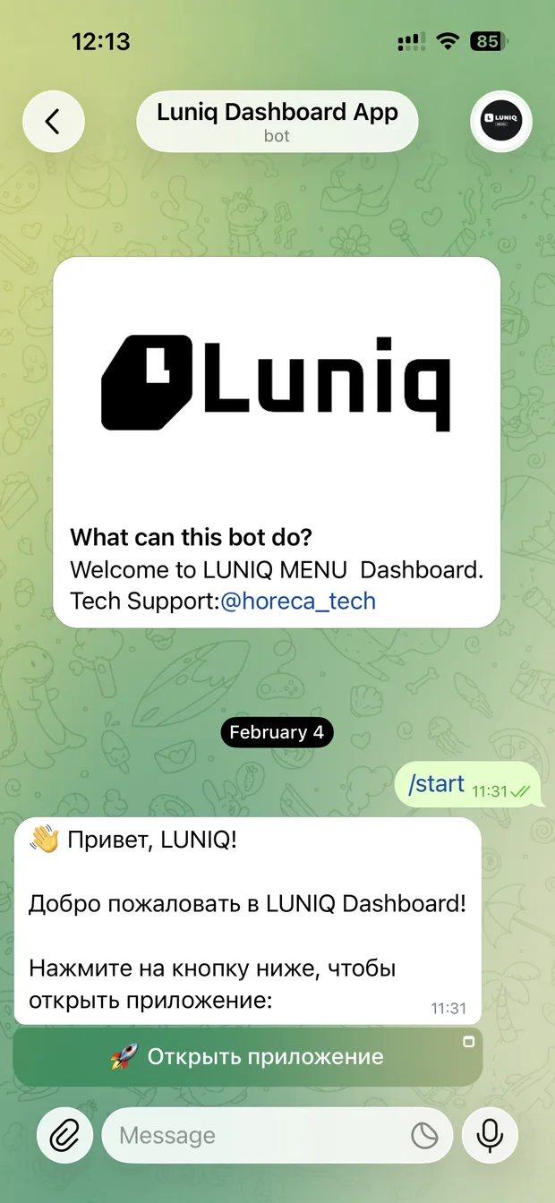LUNIQ Dashboard bot chat with the “Open app” button